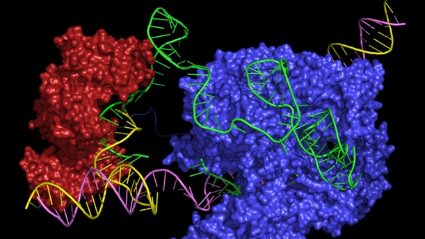 crispr la gi