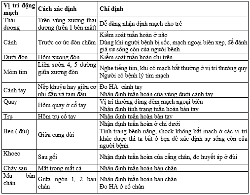 ✴️ Theo dõi mạch